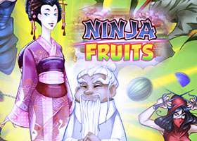 Ninja Fruits Playngo